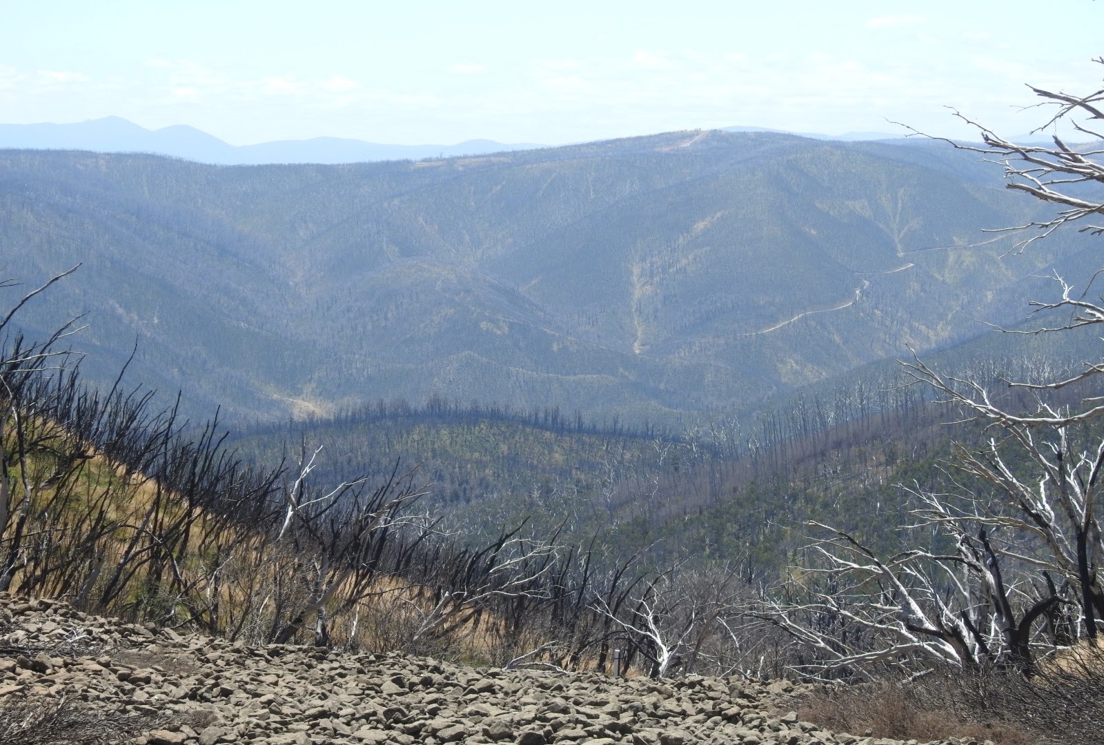 Kosciuszko National Park - Australian Wildlife Charity - FNPW